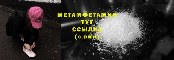 гидра Белокуриха