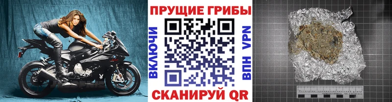 Галлюциногенные грибы Psilocybe  мориарти телеграм  Кузнецк 